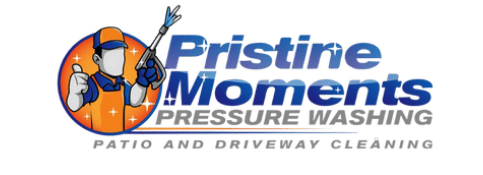 Patio and Driveway Cleaning Logo